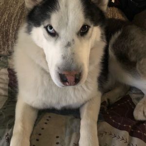 Meet your Posher, Claudia